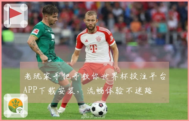 老玩家手把手教你世界杯投注平台APP下载安装，流畅体验不迷路