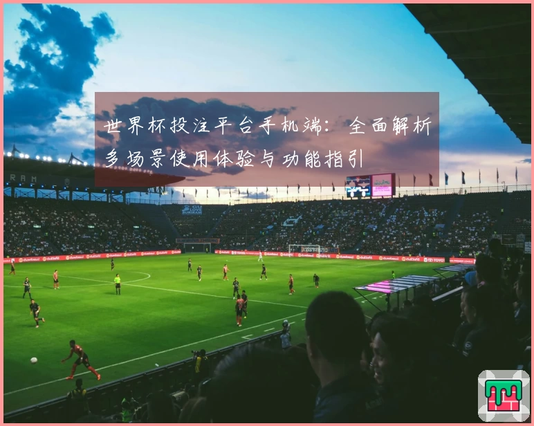 世界杯投注平台手机端：全面解析多场景使用体验与功能指引