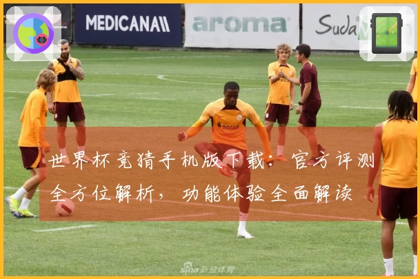 世界杯竞猜手机版下载：官方评测全方位解析，功能体验全面解读